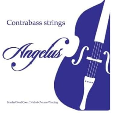 Amazon.co.jp 売れ筋ランキング: コントラバス弦 の中で最も人気のある