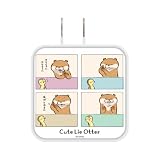 グルマンディーズ 可愛い嘘のカワウソ USB/USB Type-C ACアダプタ マジック KUK-02B