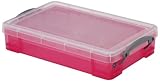 不二貿易 プラスチック 収納 ケース ボックスタイプ 4L(6マス仕切り付) ピンクR.U.OFFICE (幅39.5x奥行25.5cm) 20133