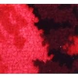 サンゲツ 店舗用クッションフロア カーペット 柄番CM-2243 サイズ 182cm巾×3m 〔日本製〕