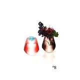 D-BROS　フラワーベース　ビニール製　花瓶　2点セット 713