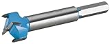 Roman Carbide DC1851 Carbide Forstner Bit, 15/16-Inch by Roman Carbide
