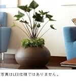 トーシン　アリエッタ　コロッコ　LED　TC-E02 ナチュラル