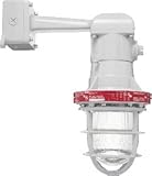 RAB Lighting EB124-3/4 Explosionproof Incandescent Bracket with Guard, PS-25 Type, Aluminum, 300W Po