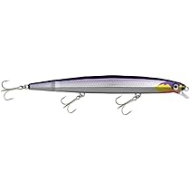Rapala ラパラ 14個セット Amazon.co.jp: ラパラ(Rapala) フラッシュXダート FXDR14-ALB