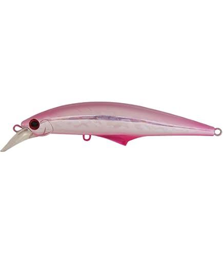 Amazon.co.jp: ジャクソン(Jackson) Gコントロール 40 青物直行
