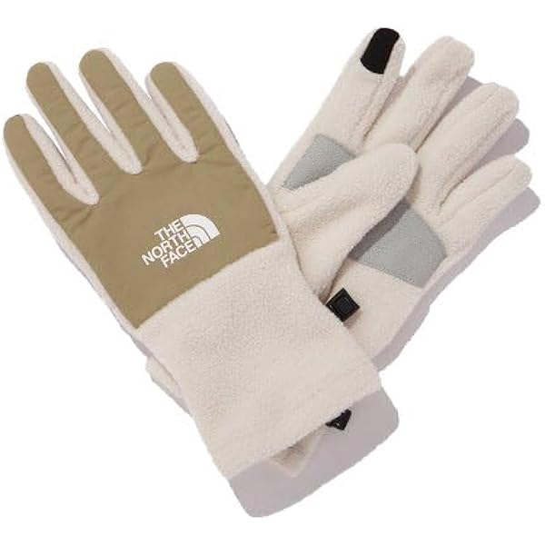 Amazon | [THE NORTH FACE] [ザ・ノース・フェイス] 手袋 Wallride