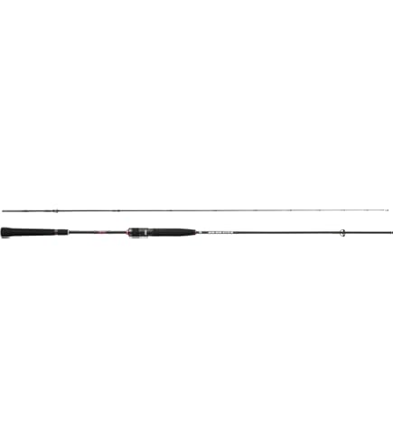 Amazon | ジャッカル(JACKALL) 26 BIN-BIN STICK RB(ビンビン