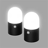 アイリスオーヤマ:乾電池式LEDガーデンセンサーライト 丸型 2個セット ZSL-MN1M-BKS2