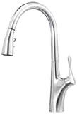 Blanco 441507 Napa Pull-Down, Stainless Steel Blanco [並行輸入品]