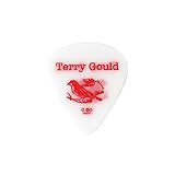 PICKBOY GP-TG-TS/06 Terry Gould Sand Grip 0.60mm ギターピック×10枚