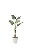 光触媒観葉植物 くわず芋1.35 フロアタイプ ミドルサイズ光触媒 フェイクグリーン 御祝 内装 インテリア