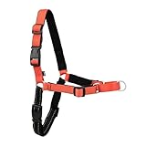 PetSafe デラックス イージーウォークハーネス 犬 ハーネス 小型犬 引っ張り防止 調整簡単 ネオプレン 抜けない 耐久性が高い 夜間反射 中型犬（S ローズレッド/ブラック）