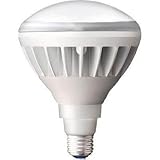 岩崎電気:岩崎 LEDアイランプ14Wタイプ(本体:白色 光色:昼白色) LDR14N-H/W850 型式:LDR14N-H/W850