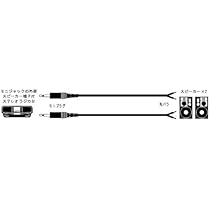 Amazon | JVCケンウッド ビクター ミニプラグ-先バラX2 2本1組 CN-137A