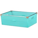 カラーボックス収納 収納ボックス フレックスプレミアムボックス (390S (Mサイズ), ナチュラルライトブルー)