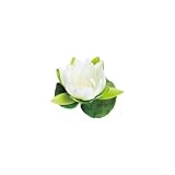 日本ビダヤコム SEASONALFLOWER フローティングロータス FD4858 クリーム