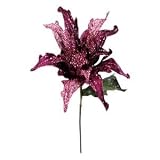 31 "藤色ベルベットポインセチア14 " Flower