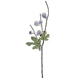 Vickerman fk171901 Figフルーツスプレー