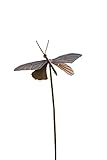 Ancient Graffiti ANCIENTAG1309 Garden Ornament Butterfly