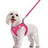 Rabbitgoo 犬ハーネス リードセット 超小型犬 小型犬 中型犬 大型犬 犬用 胴輪 ソフト マジックテープ付き 反射素材付き ペット用品 はーねす 引っ張り防止 抜けない 喉に優しい 夜間反射 調節可能 脱着簡単 軽量 メッシュ 快適 通気 手洗い 耐久性 安全 散歩 しつけ 訓練 老犬介護 人気 可愛い おしゃれ (ローズレッド, M)