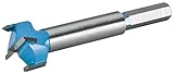 Roman Carbide DC1852 Carbide Forstner Bit, 1-Inch [並行輸入品]