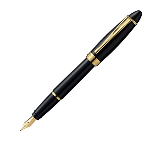 アウロラ 万年筆 F 細字 イプシロン B11-NF ブラック 両用式 正規輸入