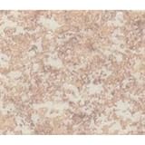 サンゲツ 店舗用クッションフロア プレーン 色番CM-2268 サイズ 182cm巾×2m 〔日本製〕