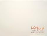 ミューズ(Muse) 水彩紙 ホワイトワトソンブロック F2 300ｇ 15枚入り HW-302