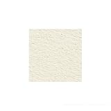 ホルベイン画材 クレスター水彩紙 210g 四切 (10枚入) 423×526mm
