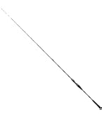 Amazon | ダイワ(DAIWA) 船竿 極鋭タチウオテンヤSP 73-190AGS 釣り竿
