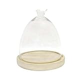 スタントテラリウム バード