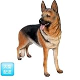 FRP　シェパード / German Shepherd　【犬オブジェ　アニマルオブジェ　店舗・イベン