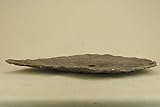 いよじ園 【盆栽鉢】 時代鉢 利根鞍馬石 持込み物（大型サイズ）(いよじ園 伊予路園)