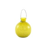 Achla Designs Goblet Rooting Vase, Yellow [並行輸入品]