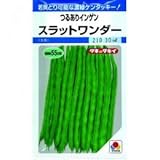 つるありいんげん 種 【 スラットワンダー 】 種子 小袋（約30ml(約70粒)）