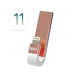 LEEF iBridge 3 Mobile Memory Gold 64GB [並行輸入品]