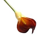 Fake花、neartime人工オランダカイウ花柄パーティーホームインテリア レッド Neartime_1769