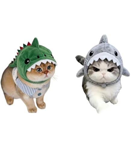 Amazon.co.jp: なめ猫 レトロ なめんなよ猫 下敷き ！ : ペット用品