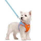Rabbitgoo 犬ハーネス リードセット 超小型犬 小型犬 中型犬 大型犬 犬用 胴輪 ソフト マジックテープ付き 反射素材付き ペット用品 はーねす 引っ張り防止 抜けない 喉に優しい 夜間反射 調節可能 脱着簡単 軽量 メッシュ 快適 通気 手洗い 耐久性 安全 散歩 しつけ 訓練 老犬介護 人気 可愛い おしゃれ (ブルー＆オレンジ, S)