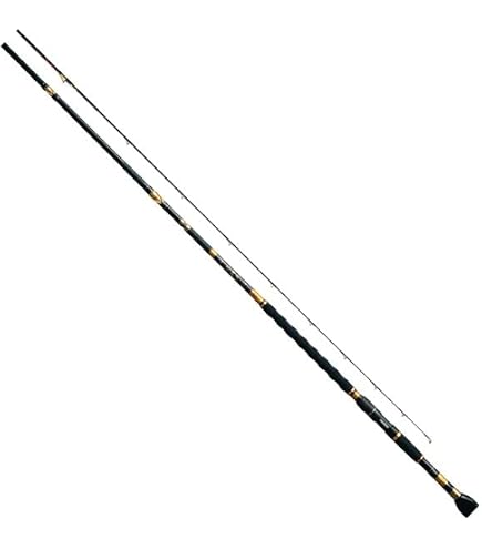 Amazon | がまかつ がま石 本獅子 MH5.65 | Gamakatsu(がまかつ) | 磯竿