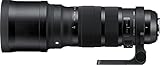 SIGMA 120-300mm F2.8 DG OS HSM | Sports S013 | Sigma SAマウント | Full-Size/Large-Format