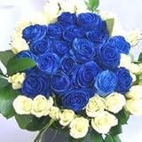 特別な日に！青いバラと白いバラのブーケボレロ♪（花束）90本　【生花】【お祝い・記念日・誕生日・フラワーギフト・バラ】