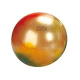 GYMNIC(ギムニク) ギムニクアルテ 65 BRQ 【Wアクションポンププレゼント】 LP-9536