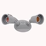 Thomas & Betts D2L80S3 Red Dot D-Pak Decorative Flood Light, Silver [並行輸入品]