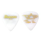 IBANEZ 1000SV-WHR スティーブヴァイピック ギターピック×10枚