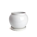 鉢 KANEYOSHI 陶器 植木鉢 ホワイト 9.5号 29cm 【受け皿付】