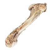 ペットフード研究所 【 国産 無添加 】 小型犬 中型犬 大型犬 鹿レッグボーン 足骨 グルテンフリー 鹿骨 犬のおやつ 犬用 (小型犬S, 通常骨)