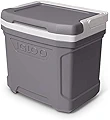 Igloo Profile II 16 クールボックス 15リットル グレー