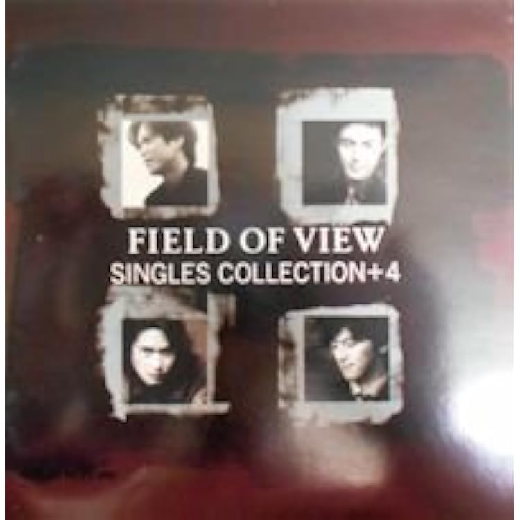 Amazon.co.jp: FIELD OF VIEW I: Music